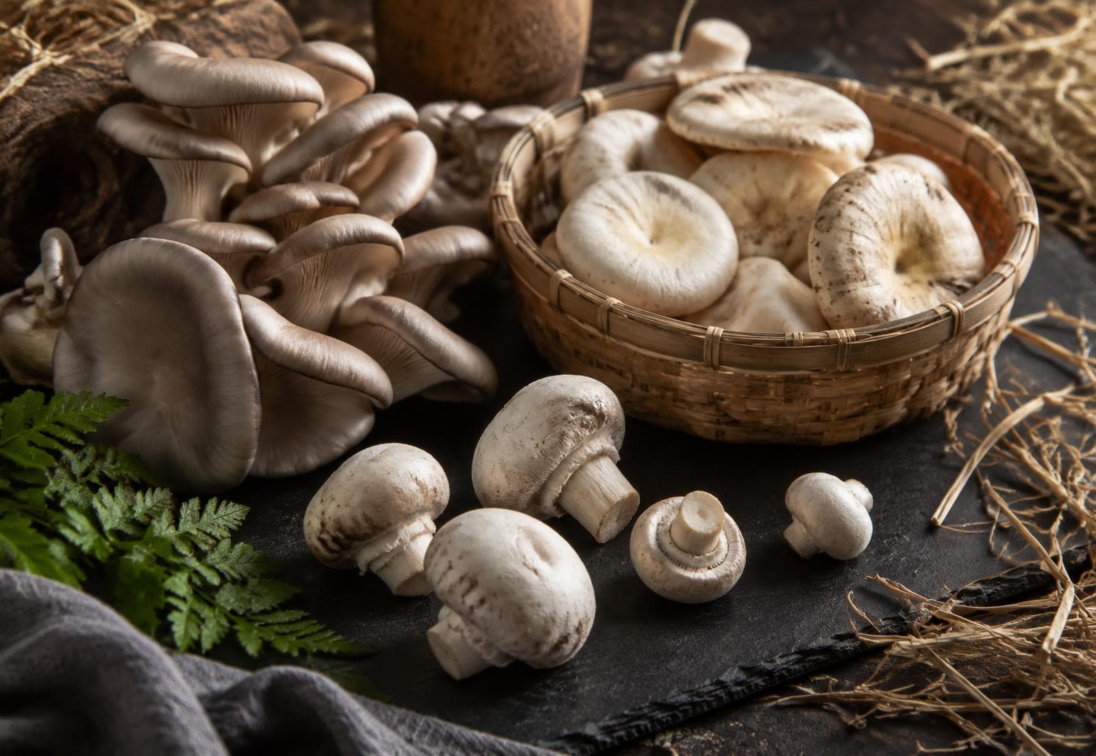 Basket of freshly harvested mushrooms